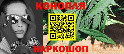 спиды Будённовск
