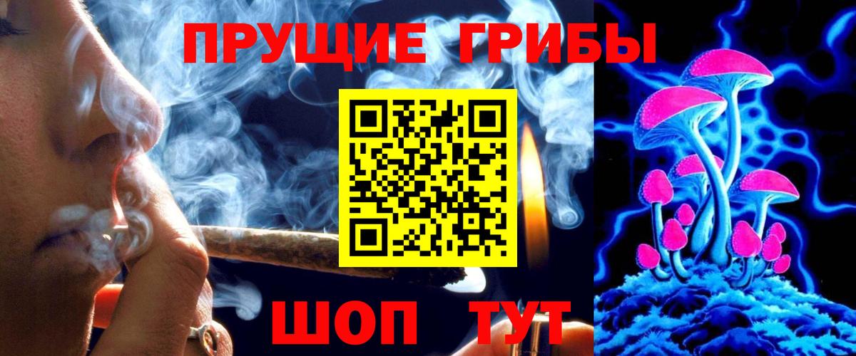 Кропоткин  наркотики  Вход с VPN  Псилоцибиновые грибы Cubensis 