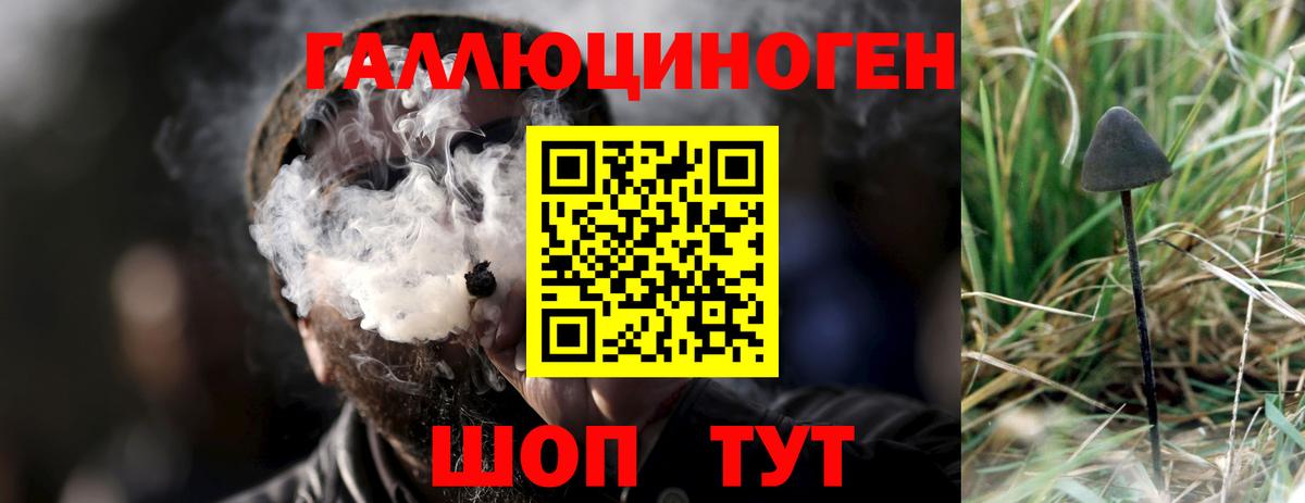Галлюциногенные грибы GOLDEN TEACHER Кропоткин